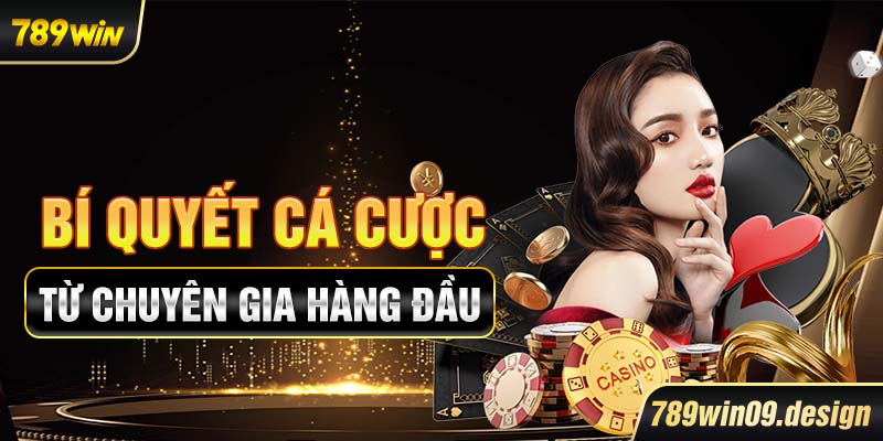 Bí quyết cá cược từ chuyên gia hàng đầu
