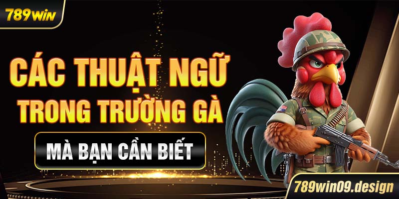 Các thuật ngữ trong trường gà mà bạn cần biết
