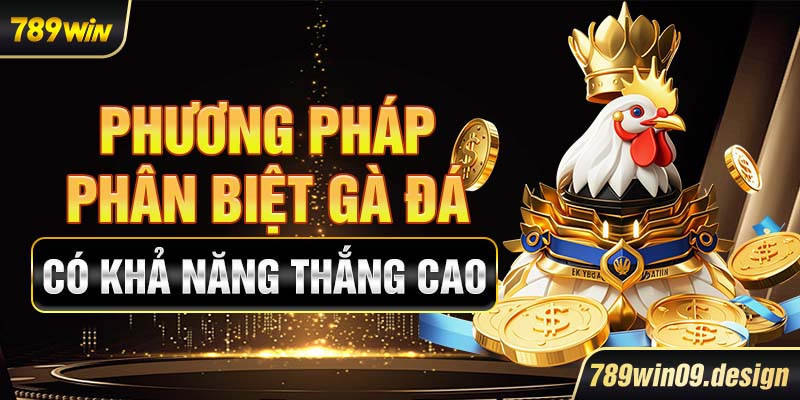 Phương pháp phân biệt gà đá có khả năng thắng cao