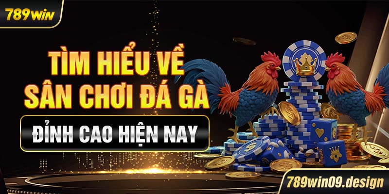 Tìm hiểu về sân chơi đá gà đỉnh cao hiện nay