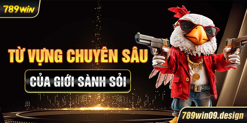 Từ vựng chuyên sâu của giới sành sỏi