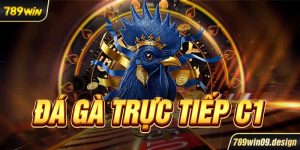 Đá gà trực tiếp C1