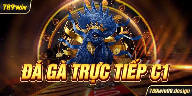 Đá gà trực tiếp C1